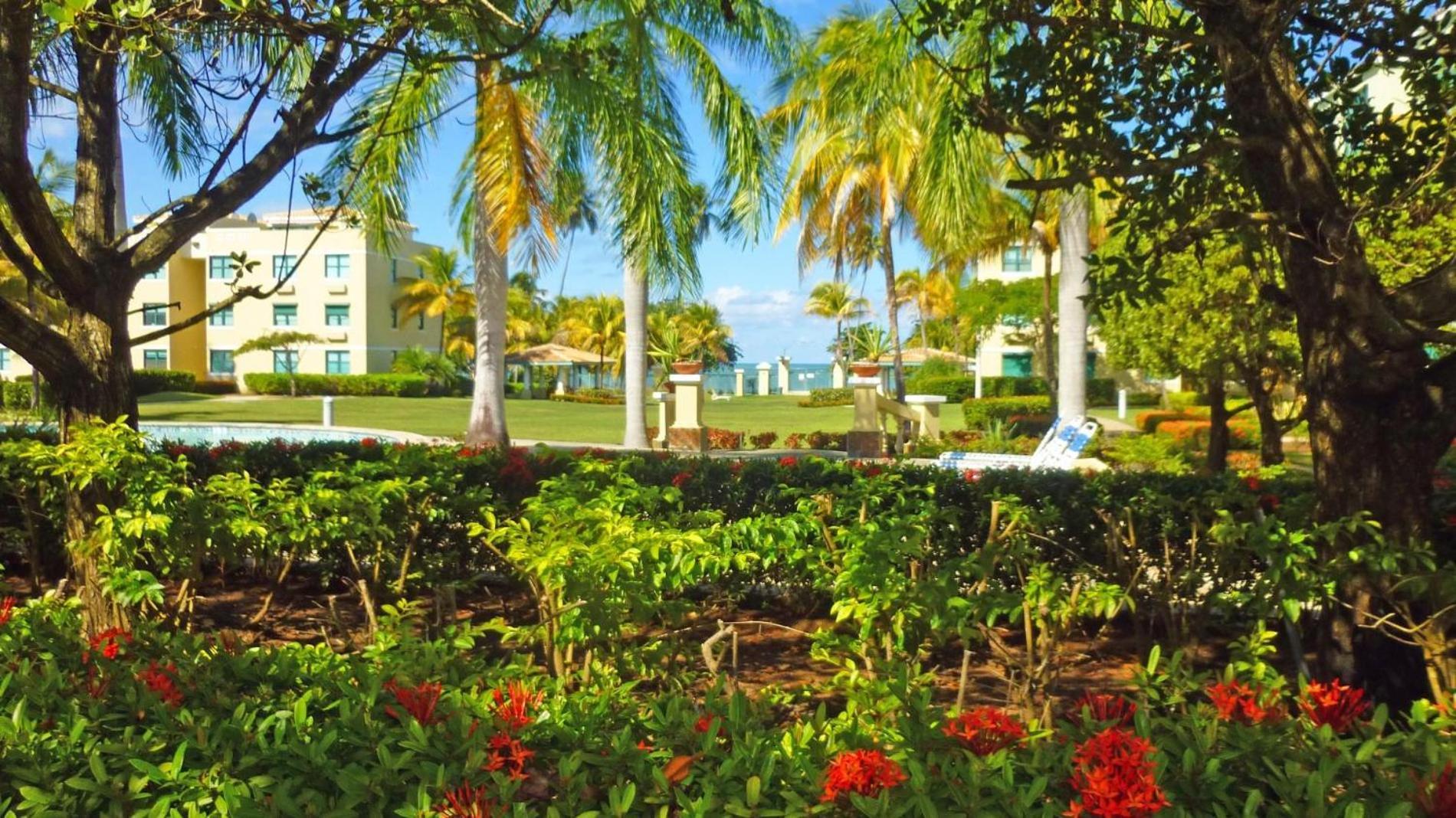ריו גראנדה Sandy Cove מראה חיצוני תמונה